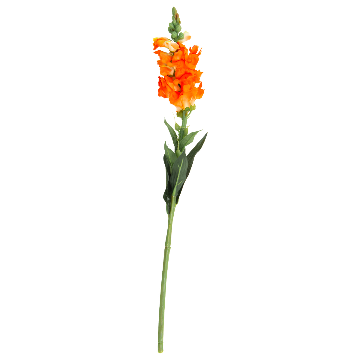 Flor Boca De Dragon Naranja | Flores | decoracion